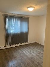 Large 1 BDRM in Old Strathcona! Excellent Location, Renovated!