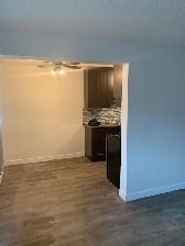 Large 1 BDRM in Old Strathcona! Excellent Location, Renovated! - Photo 5