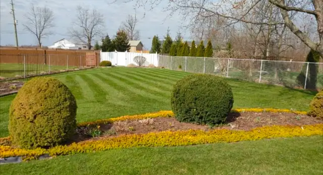 LAWN ROLLING & AERATING - Photo 2