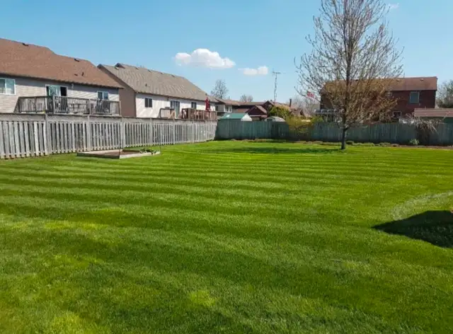 LAWN ROLLING & AERATING - Photo 3