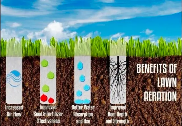 LAWN ROLLING & AERATING - Photo 5