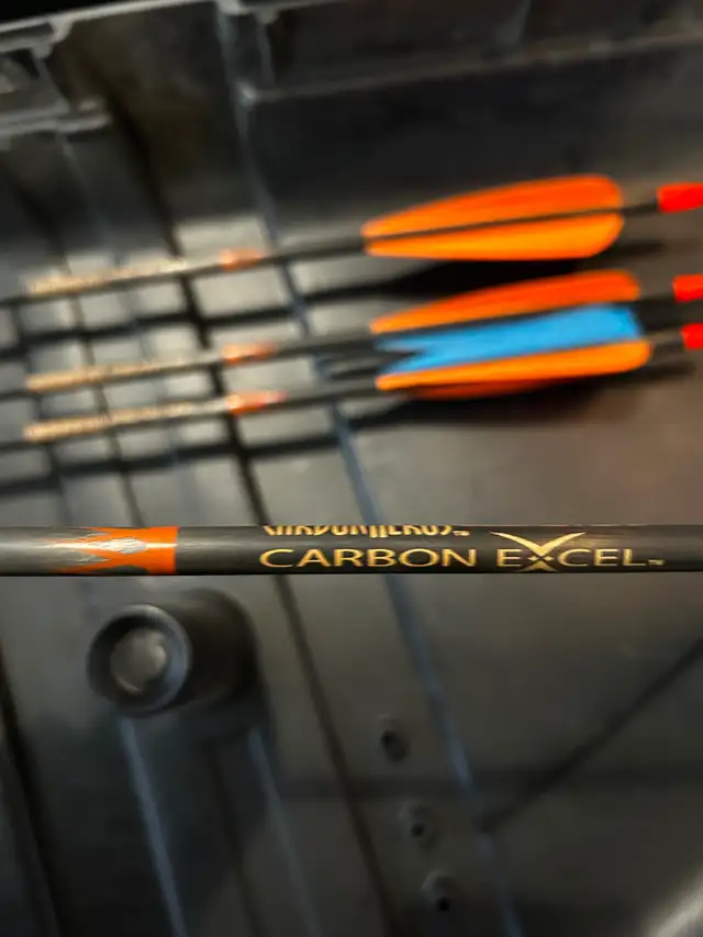 Hoyt ZR200 compound bow - Photo 6