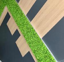 Charpentier d’expérience cherche partenaire d’affaire pour Flip