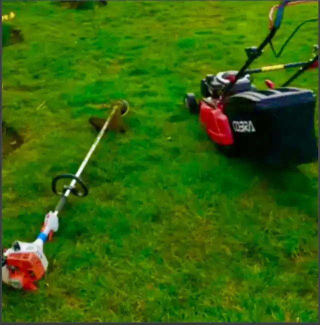 Lawnmowing and Yard Cleaning Services