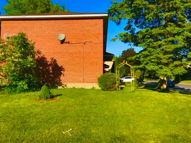 Lawnmowing and Yard Cleaning Services - Photo 2