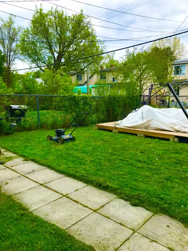 Lawnmowing and Yard Cleaning Services - Photo 3