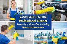 PROFESSIONAL MOVE IN/OUT CLEANER