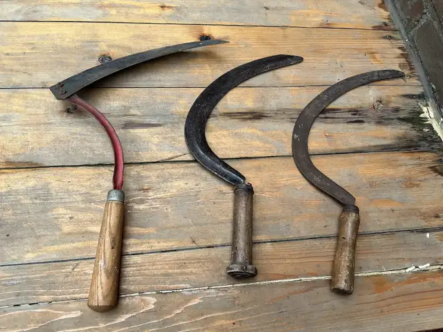 3 Vintage Farm Wood Handle Hay Grain Grass Cutting Sickle tools. - Photo 9