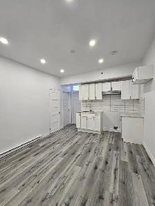 3 1/2 appartement Rénové à louer Plateau-Mont-Royal RENOVATED