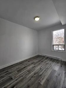 3 1/2 appartement Rénové à louer Plateau-Mont-Royal RENOVATED - Photo 4