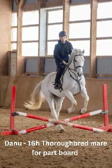 Horses for part board in Milton!
