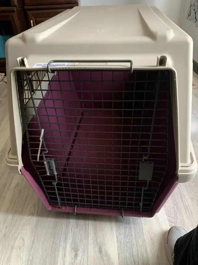 Dog Kennel