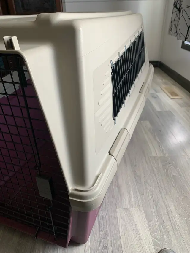 Dog Kennel - Photo 2