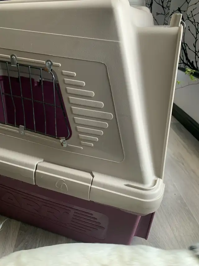 Dog Kennel - Photo 3