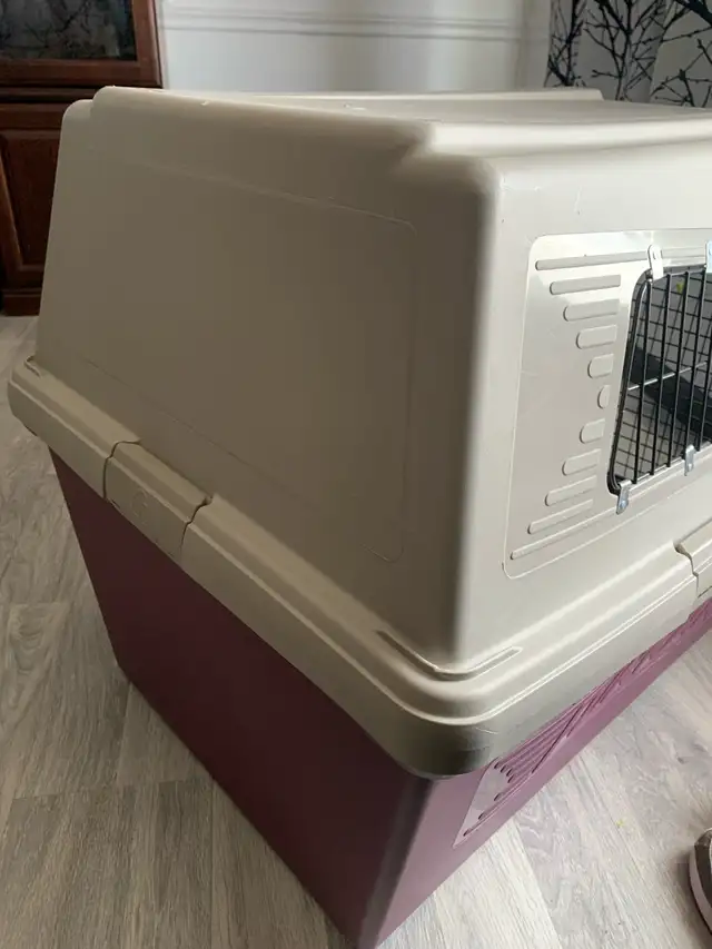 Dog Kennel - Photo 4