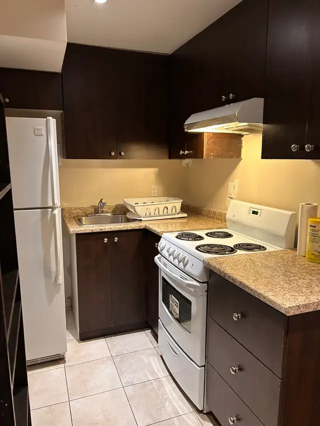 Spacious & Bright LOOK OUT Basement for Rent in Milton - Photo 4