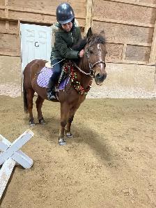 12.2 Welsh Pony for part board! - Photo 2