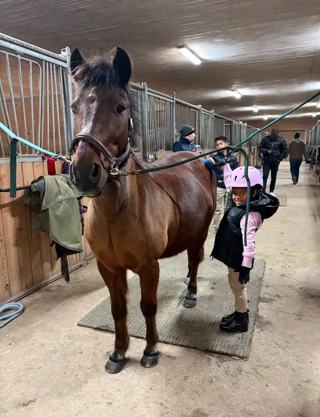 12.2 Welsh Pony for part board! - Photo 4