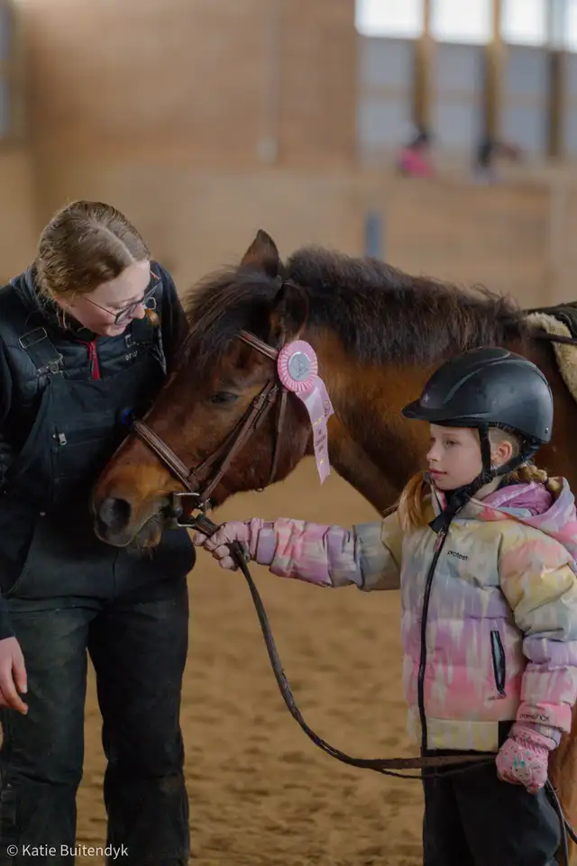12.2 Welsh Pony for part board! - Photo 5