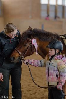 12.2 Welsh Pony for part board! - Photo 5