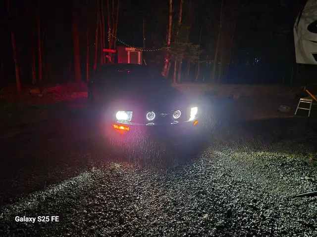 2005,Mustang - Photo 6