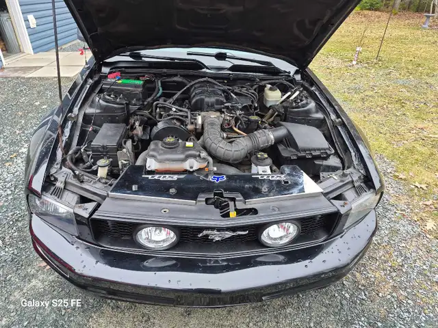 2005,Mustang - Photo 10