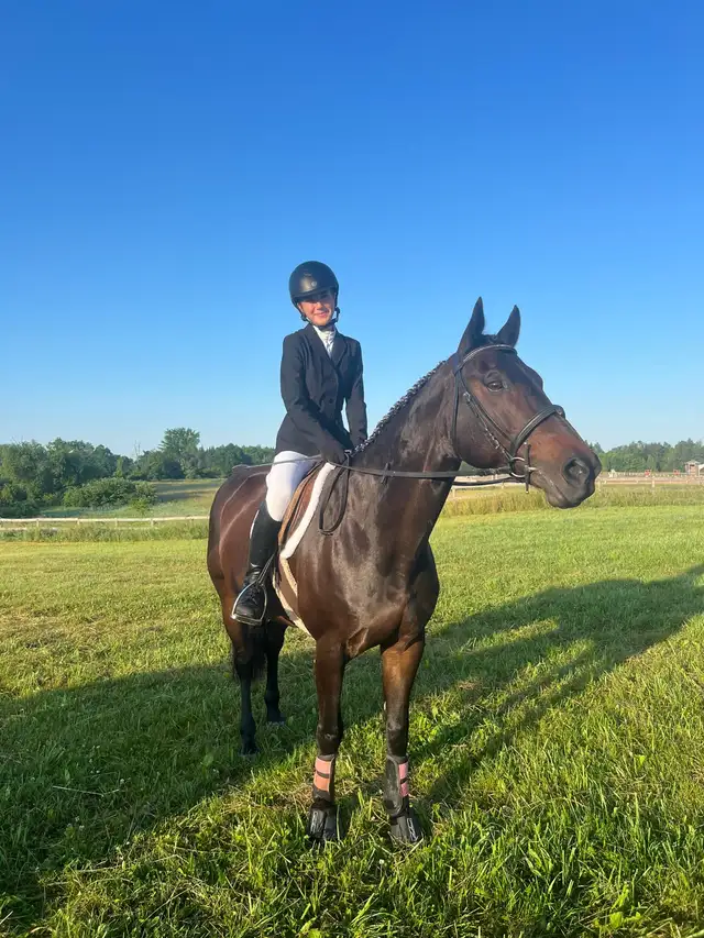 15 hand Traekhner mare for part board! - Photo 3
