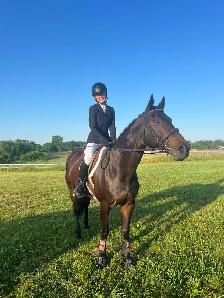 15 hand Traekhner mare for part board! - Photo 3