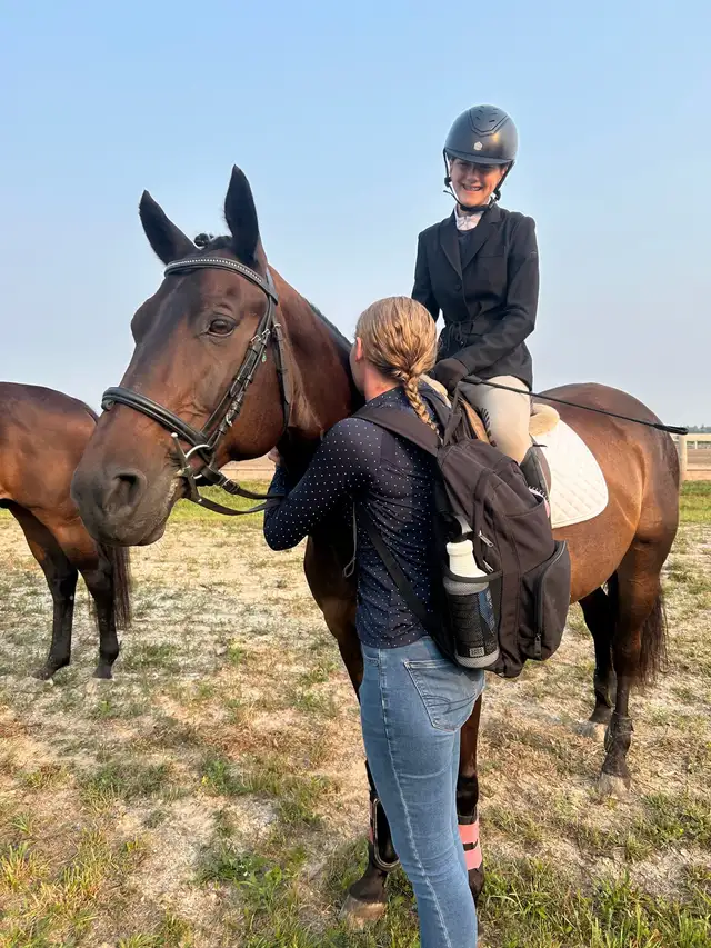 15 hand Traekhner mare for part board! - Photo 4