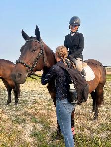 15 hand Traekhner mare for part board! - Photo 4