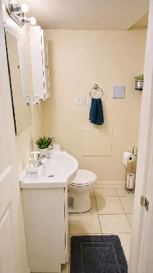 Beautiful 1 Bed 1 Bath WALKOUT Basement (Private Entrance!) - Photo 4
