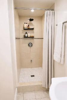 Beautiful 1 Bed 1 Bath WALKOUT Basement (Private Entrance!) - Photo 5