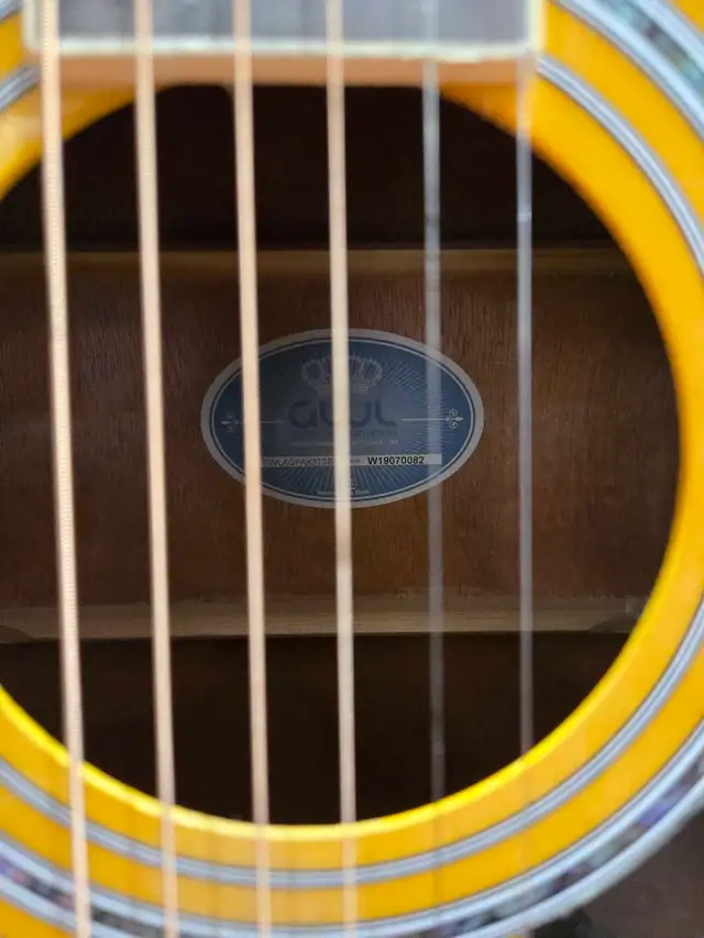 GEORGE WASHBURN ACOUSTIC GUITAR WITH STRAP - Photo 3