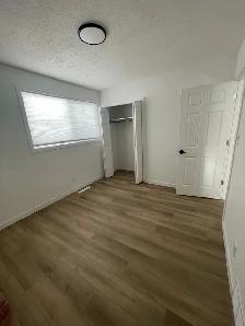 2.5 bedroom house for rent - Photo 5