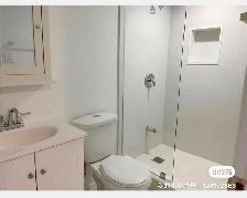 Markham Rd/ Steeles Walkout Basement For rent - Photo 3