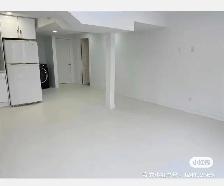 Markham Rd/ Steeles Walkout Basement For rent - Photo 4