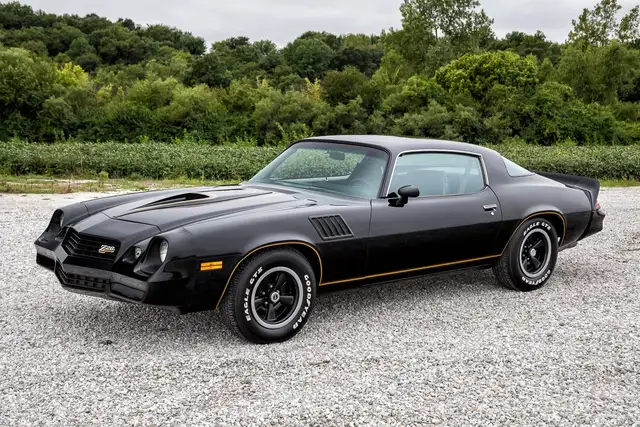 1978 to 1981 Camaro Z28 Serious buyer - Photo 2