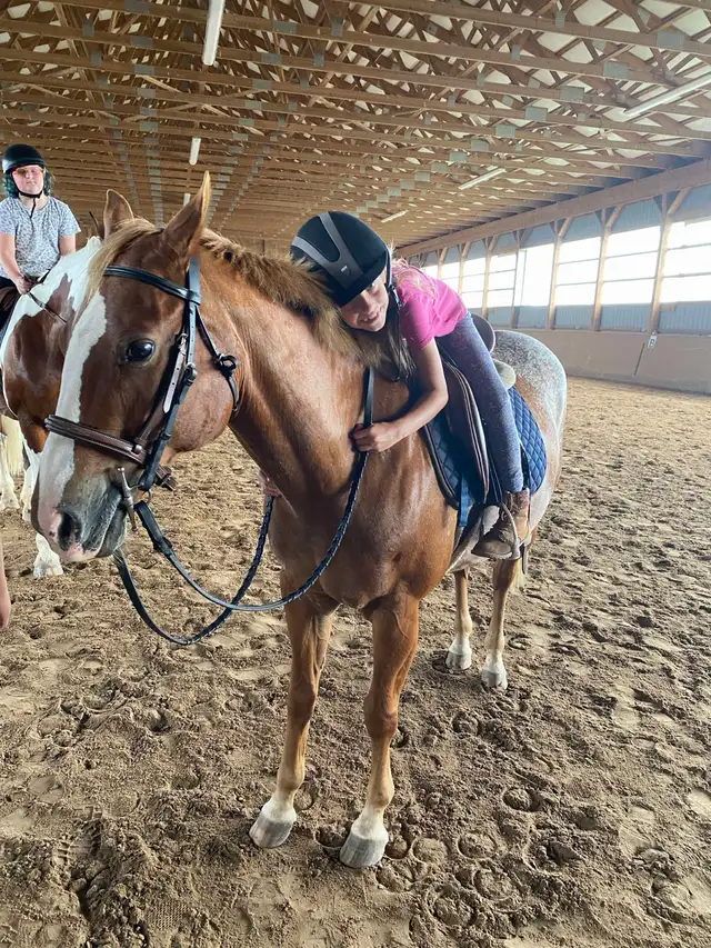 13.2 hand POA mare for part board! - Photo 3