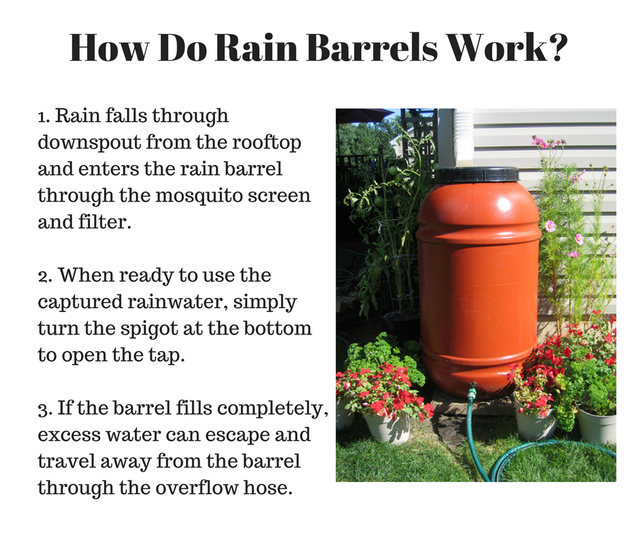 Rain Barrels - preorder online - Photo 2