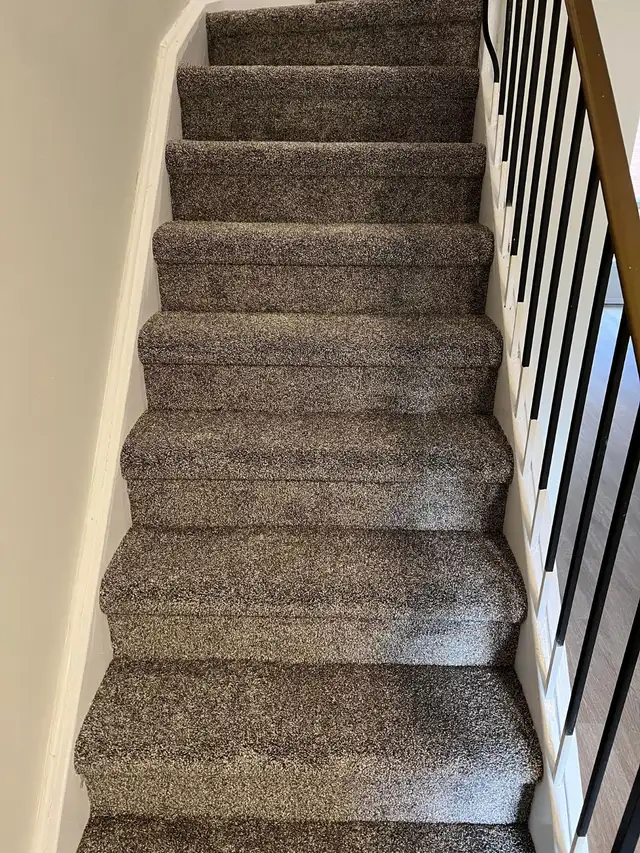 Carpet Installation Specialists – Free Estimates Available