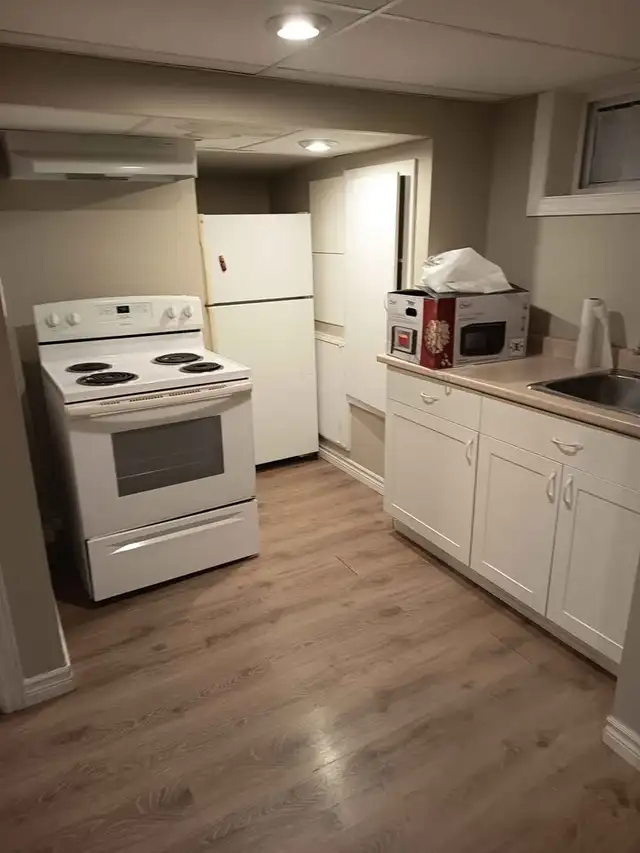 1 Bedroom Basement Apartment - Photo 4