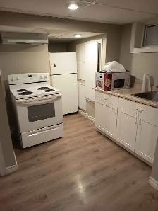 1 Bedroom Basement Apartment - Photo 4