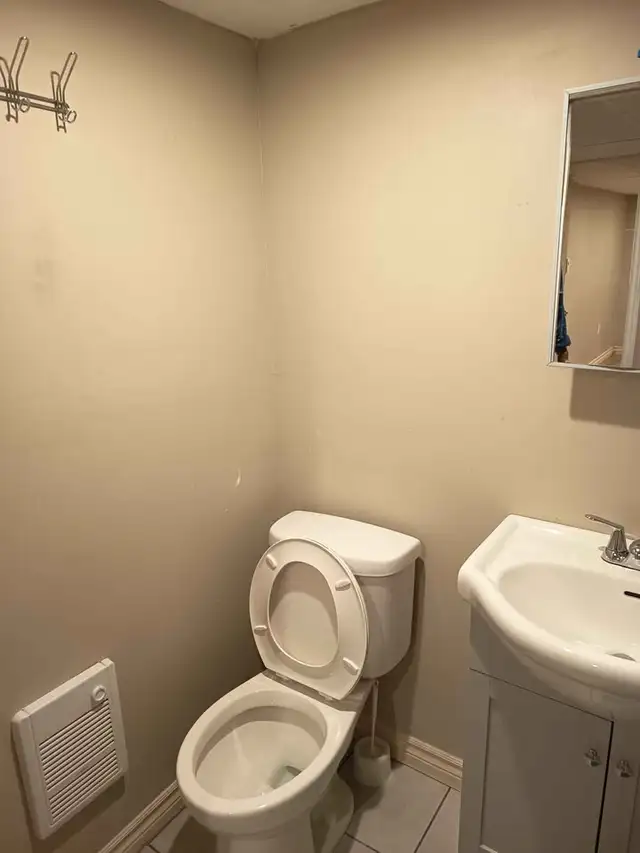 1 Bedroom Basement Apartment - Photo 6