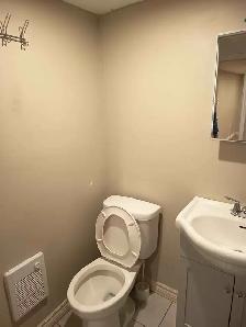 1 Bedroom Basement Apartment - Photo 6