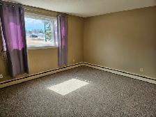 Bachelor and 1 Bedroom Apartment 7th Street East near Preston Av - Photo 2