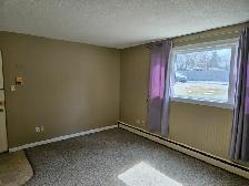 Bachelor and 1 Bedroom Apartment 7th Street East near Preston Av - Photo 3