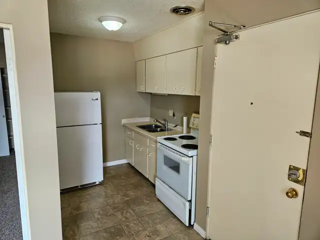 Bachelor and 1 Bedroom Apartment 7th Street East near Preston Av - Photo 4