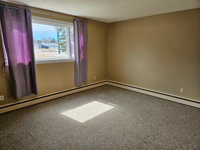 Bachelor and 1 Bedroom Apartment 7th Street East near Preston Av - Photo 9