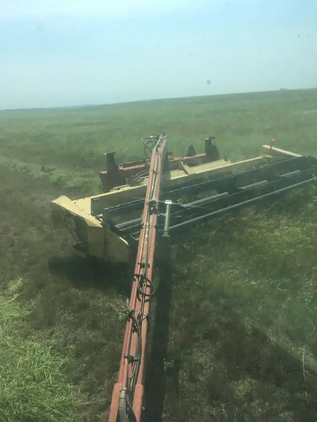 mixed farm worker - Photo 6