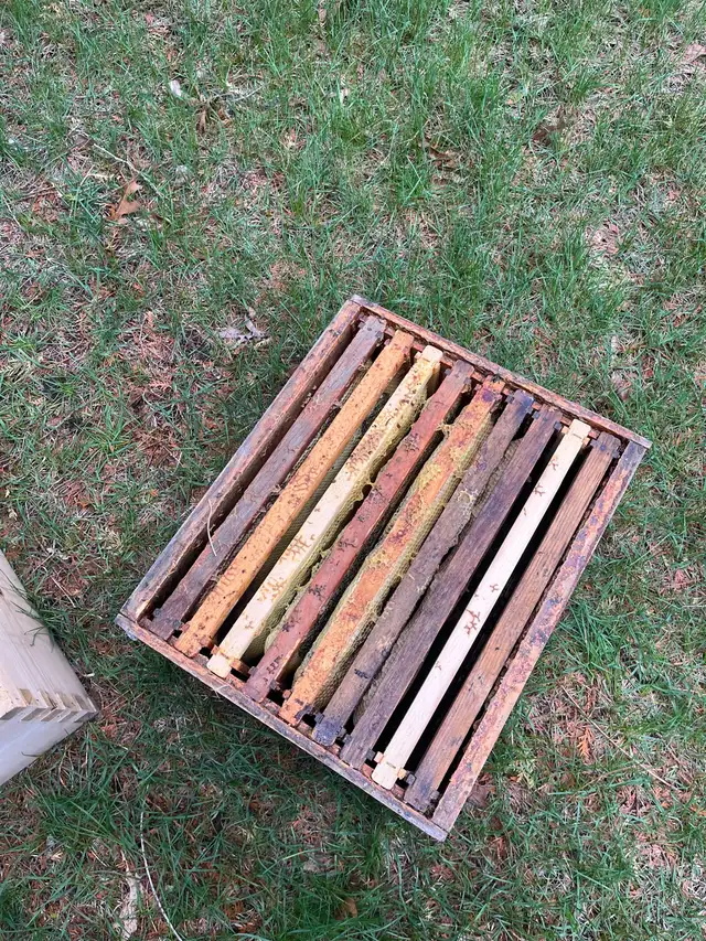 Bee keeping equipment - Photo 2